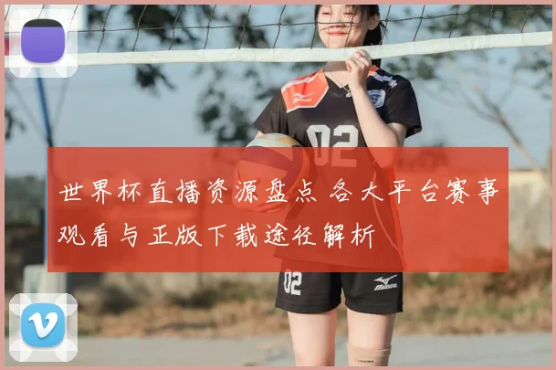 世界杯直播资源盘点 各大平台赛事观看与正版下载途径解析