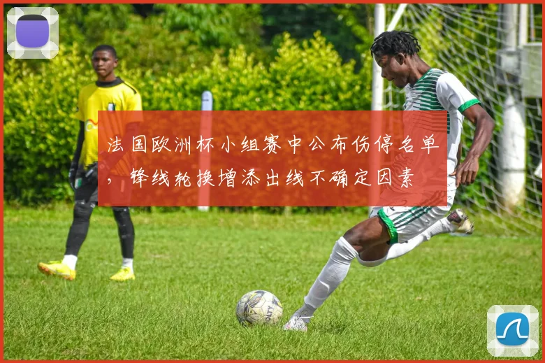 法国欧洲杯小组赛中公布伤停名单，锋线轮换增添出线不确定因素