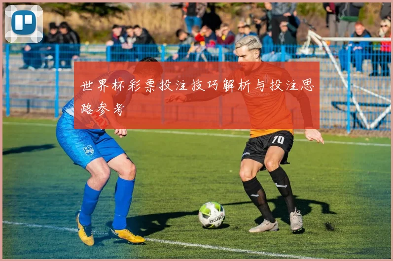 世界杯彩票投注技巧解析与投注思路参考
